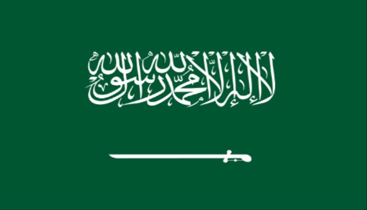 السعودية تدين المخطط الإرهابي وتشيد بكفاءة الأمن الإماراتي 