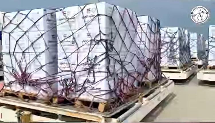 طائرة مساعدات إماراتية تصل إلى العريش بـ100 طن مساعدات لغزة