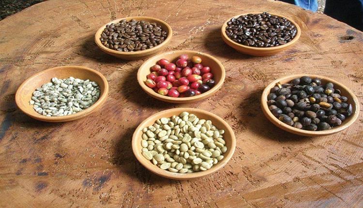 القهوة اليمنية تغزو أمريكا الشمالية… من منتج هامشي إلى ظاهرة ثقافية تعيد رسم خريطة المقاهي