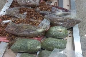 القبض على راكب بنبتة القات في مطار القاهرة بعد محاولة تمويهه بالكركديه والبن