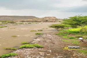 مجزرة على بئر ماء وغضب يتصاعد بسبب تقاعس وإشعال الكارثة