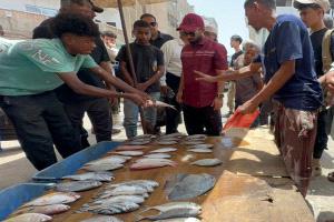 مدير صيرة ينفذ نزولاً لضبط المخالفات في أسعاد المواد الغذائية والأسماك في المديرية