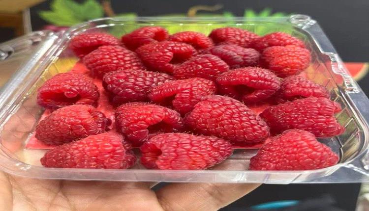 التوت الأحمر يتصدر قائمة الفواكه الصيفية.. تعرف على فوائده