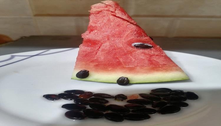 بذور البطيخ.. كنز غذائي خفي بفوائد صحية متعددة  