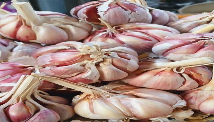 5 أطعمة تتفوّق على الثوم في تعزيز المناعة.. تعرف عليها 