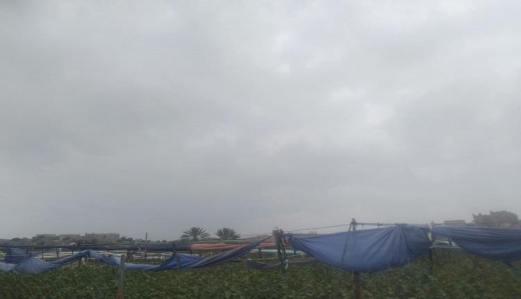 كتل هوائية باردة ستضرب هذه المناطق خلال الأسبوع القادم.. وخبير فلكي يحذر