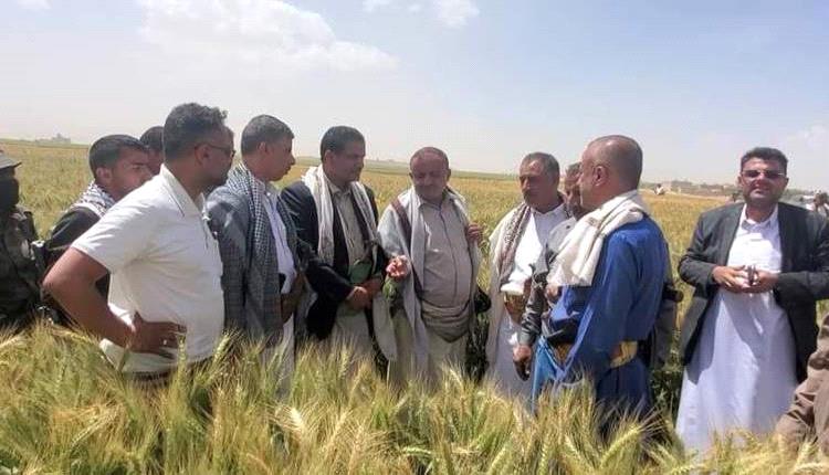 فضيحة حوثية تدمر قطاع الزراعة.. توزيع بذور خطيرة للمزارعين في الجوف
