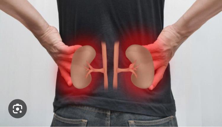 فوائد مذهلة يحققها الصيام لمرضى الجهاز البولي