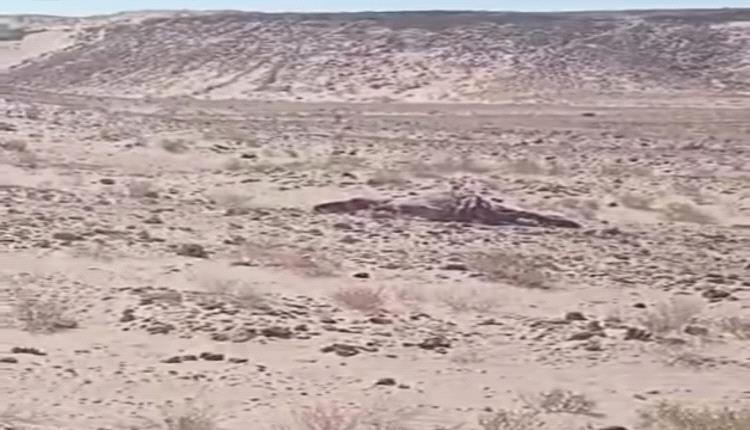 العثور على مواطن مقتول في صحراء شحن بالمهرة وسط مطالب بضبط الجناة
