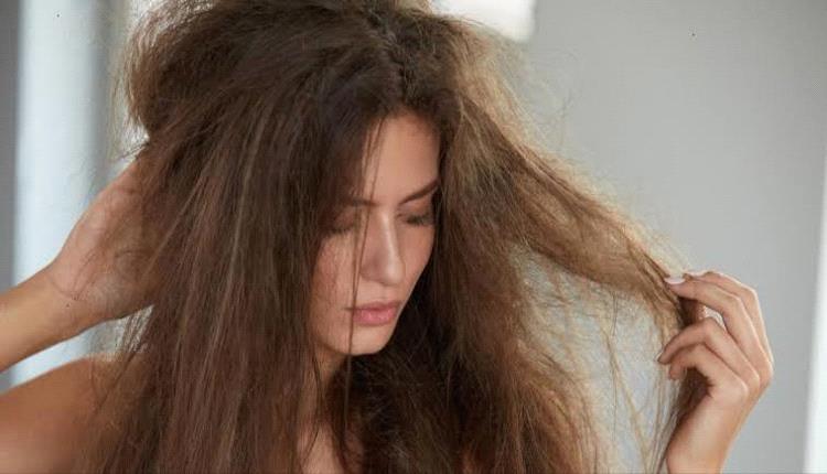 تقصف الشعر.. تعرف على أسبابه وطرق علاجه 