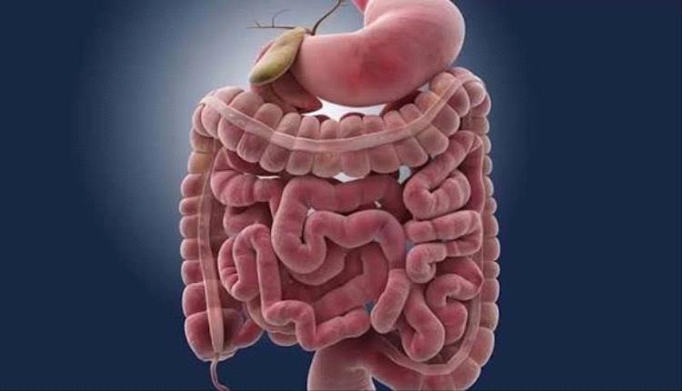 اكتشاف جديد قد يساعد في محاربة سرطانات الأمعاء والكبد 
