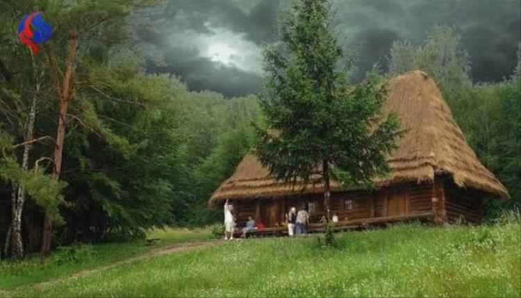 دراسة: العيش في الأماكن الخضراء يقلل من خطر الإصابة بأمراض القلب والأوعية الدموية 