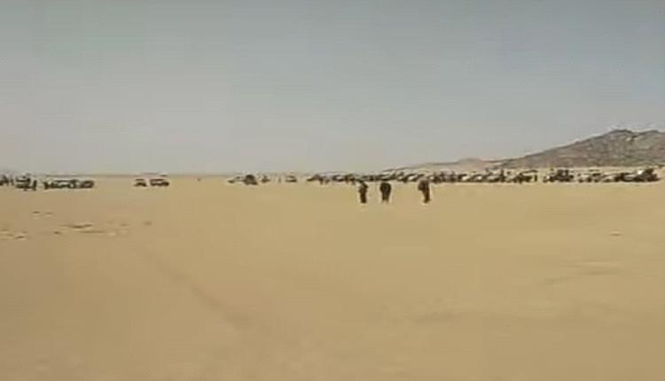 قبائل ذو حسين بالجوف تفشل مسرحية نكف الحوثي وتجبر الجماعة على الهروب نحو الصحراء