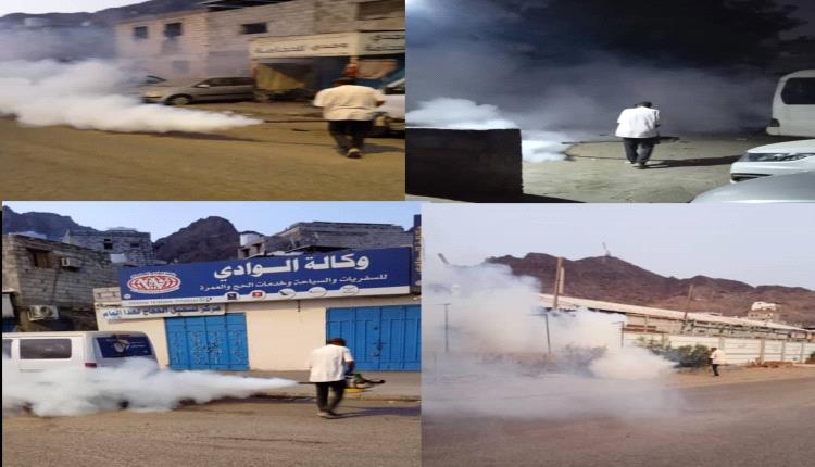 بتوجيهات مدير عام التواهي.. تنفيذ حملة رش ضبابي لمكافحة الحشرات الناقلة للأمراض في القلوعة