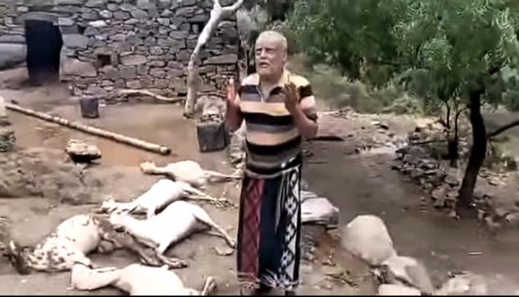 "لم يبقى لي شيء".. صاعقة تفني مصدر رزق مواطن في حجة ومشهد بكائه يهز مشاعر اليمنيين