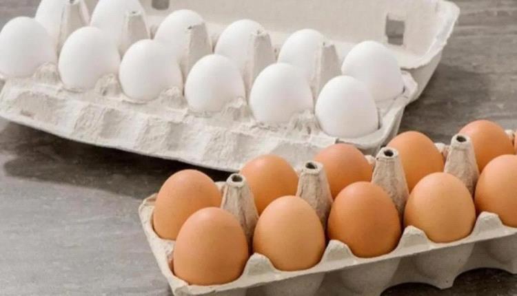 سؤال حير المواطنين.. أيهما أفضل البيض الأبيض أم البني؟ خبراء يجيبون 