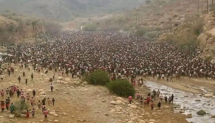 اليمن يواجه غزوًا من نوع آخر.. مهاجرون مسلحون يهددون سيادة اليمن ويرعبون المواطنين في صعدة
