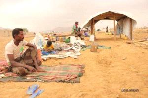 بعد أسابيع من رحيل زوجها.. الجوع والمرض يحصدان نازحة في حجة 