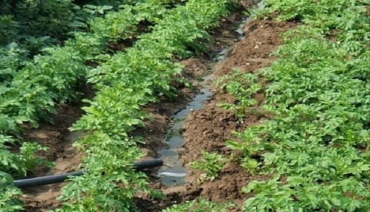 قيادي حوثي يتحدث عن وصمة عار على جماعته في إب