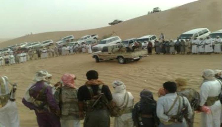 قبائل شبوة تعلن الاصطفاف خلف ممثل الانتقالي