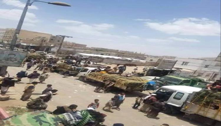 مصرع 6 من أسرة واحدة في مدخل رداع.. أسماء الضحايا