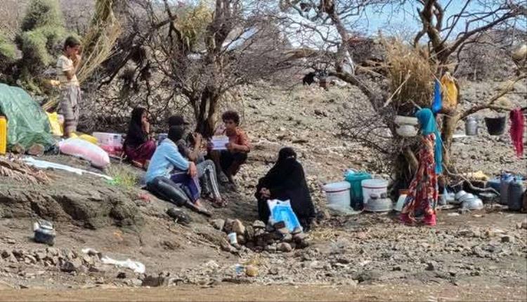 نزوح اليمن يسجل أدنى مستوى له في عام بتراجع يتجاوز النصف