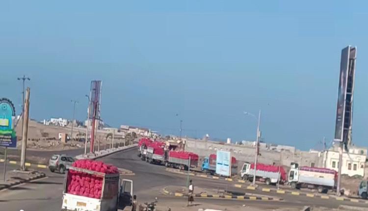 ميناء المخا يعود للحياة مع حركة تصدير قياسية للبصل المحلي