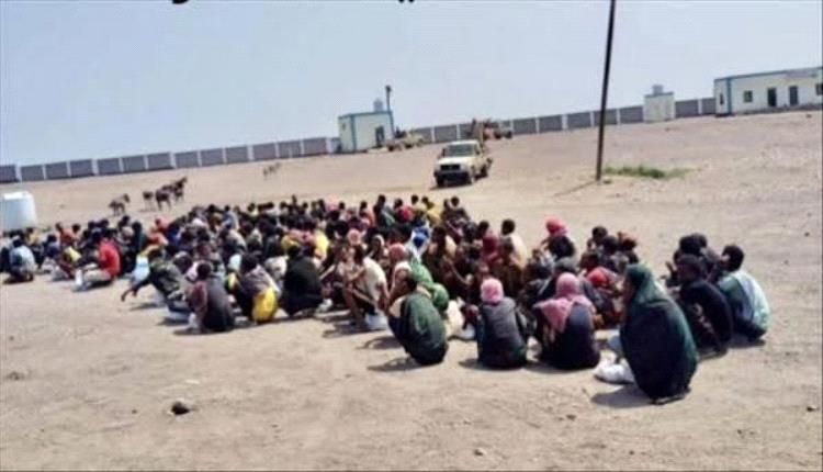 وصول 205 أجنبي إلى شبوة والشرطة تكشف التفاصيل