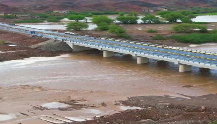 مشاريع الإمارات تحمي الساحل الغربي.. طرق وجسور تحول الفيضانات إلى مرور آمن لأول مرة منذ 50 عام