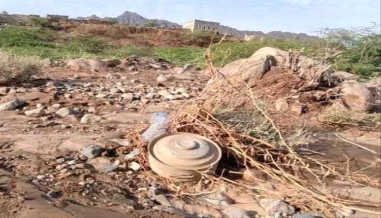 الحوثي يستهدف 4 اطفال أشقاء بانفجار عنيف في المنافرة