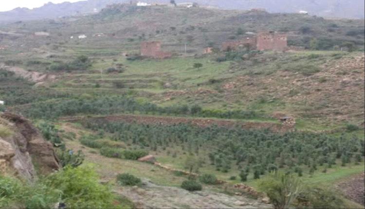 صنعاء تهتز بفاجعة أبوين وابنتهما 