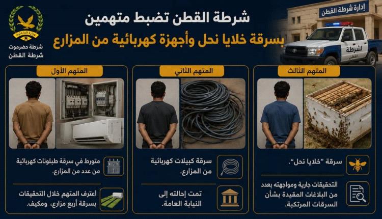 الامن يضبط متهمين بسرقات متخصصة في خلايا النحل والأجهزة الكهربائية من مزارع حضرموت 