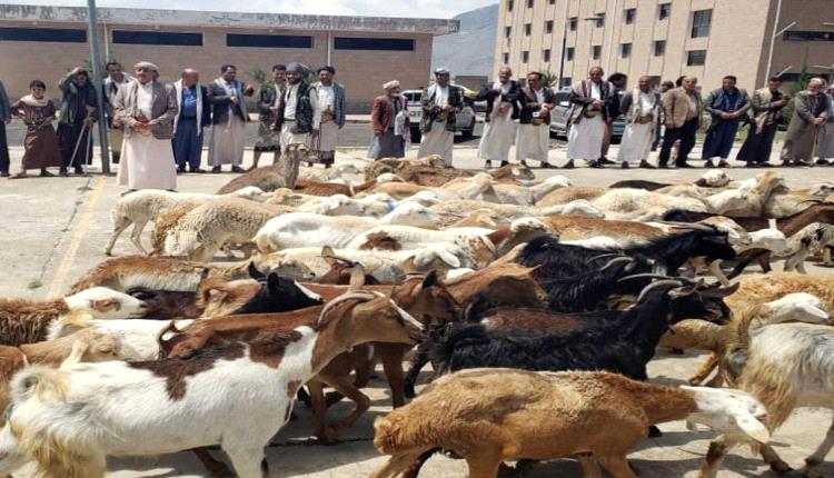العيد المر في صنعاء.. الحوثيون ينهبون لقمة العيد من أفواه الجائعين