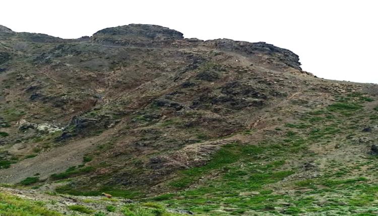بينهم نساء وأطفال.. إصابات جراء سقوط سيارة من منحدر شاهق في تعز