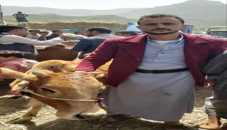 اشترى بقرة فزُجّ به في السجن.. الحوثي يعتقل مواطن في إب لسبب لا يُصدق