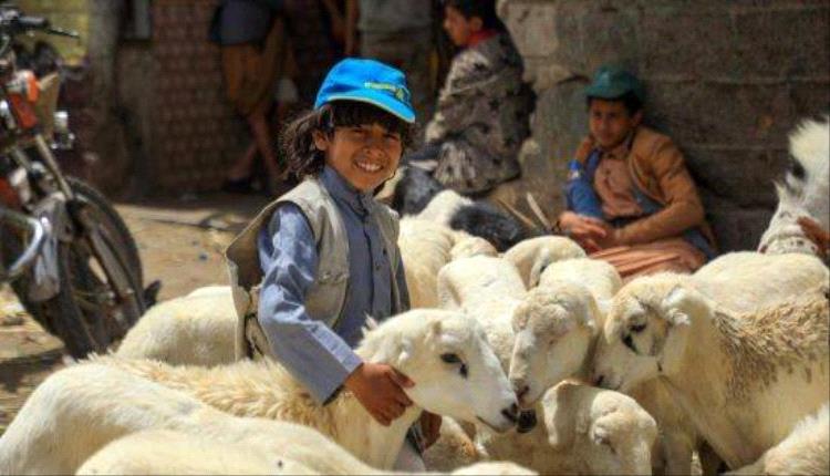 بملابس قديمة وموائد خالية وقرى تخلو من أصوات المواشي.. الحوثي يسرق بهجة العيد من أرياف إب