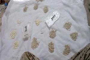 اكتشاف محاولة تهريب 1230 حبة كبتاجون في منفذ الوديعة