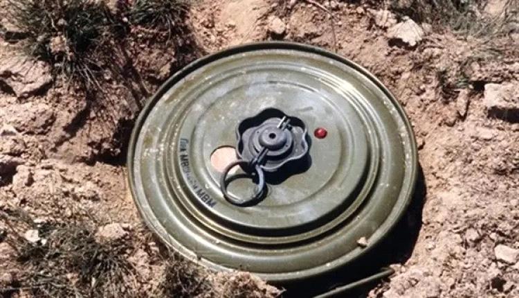 لغم حوثي يقتل طفل في تعز أثناء رعي الماشية