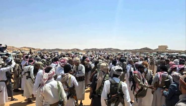بكيل هي الحبل السري للحوثي، وإيران تدير الحرب الزيدية