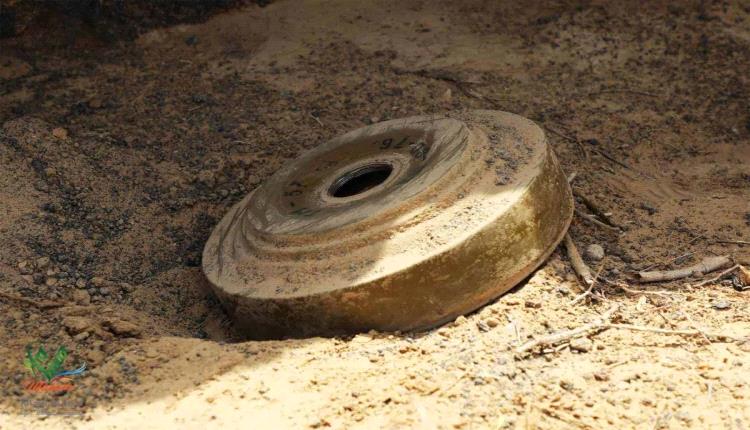 مقتل مواطن وإصابة مرافقيه بانفجار لغم حوثي في شبوة