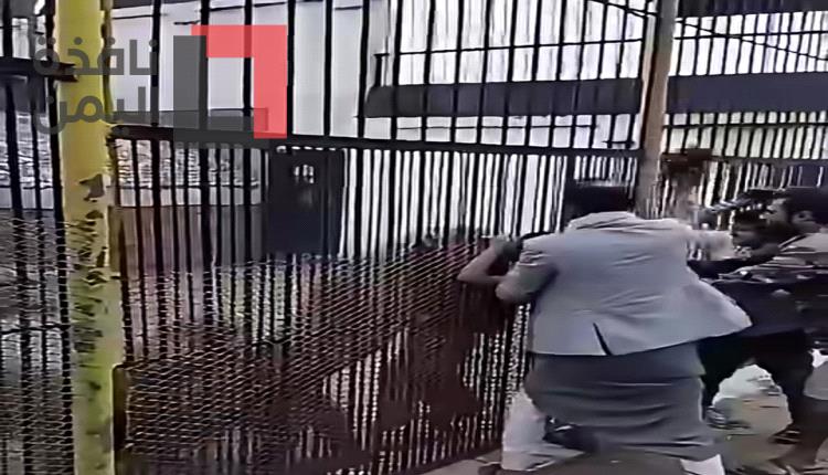 نمر يفترس ذراع طفل ويبترها داخل حديقة حيوان صنعاء.. إهمال حوثي يحوّل متنزهًا إلى ساحة رعب