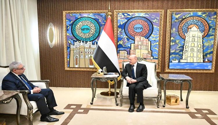 الرئاسي: أي محاولة تغيير الوضع العسكري قرب باب المندب ليس شأناً يمنيا فقط