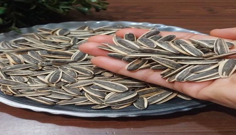 قشور عباد الشمس ليست صحية.. وخبراء يحذرون من ابتلاعها 