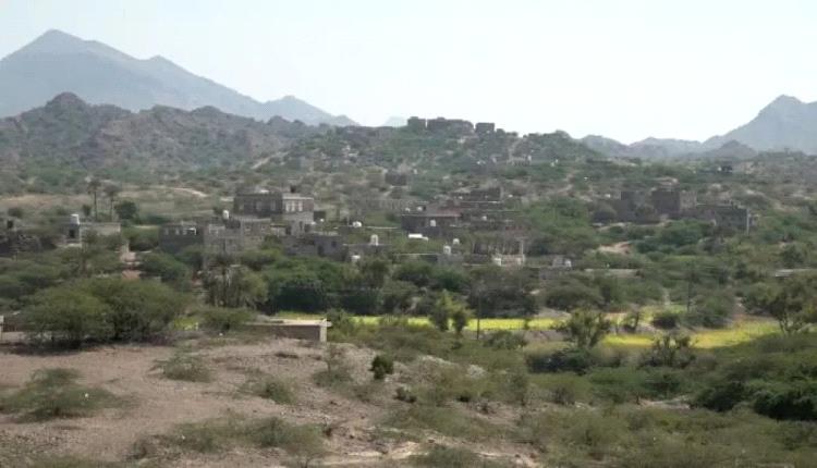 مقتل امرأة وإصابة نجلها بقصف حوثي على خيمة نازح في الوازعية