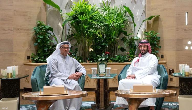منصور بن زايد وولي عهد السعودية يبحثان العلاقات الأخوية