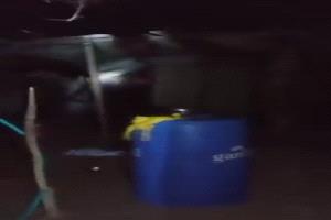 عيب أسود يهز الجوف.. الحوثيون يقتلون مستجيراً داخل خيمة أمام النساء بـ5 رصاصات في رأسه