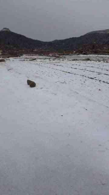 تنبيه.. دخول موجة باردة خلال اليومين المقبلين