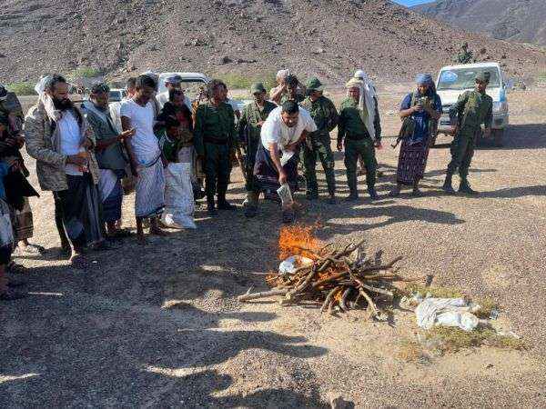 إتلاف كمية من الحشيش بعد ضبطها مع مهربين يتبعون قيادة الحوثي في ذو باب