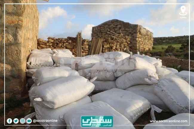 لمواجهة البرد القارس .. الإمارات توزع مساعدات شتوية لسكان سقطرى