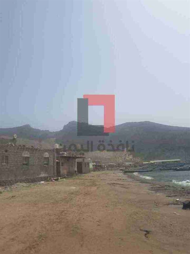باحث ومتخصص يحذر الصيادين اليمنيين من هذه الكارثة